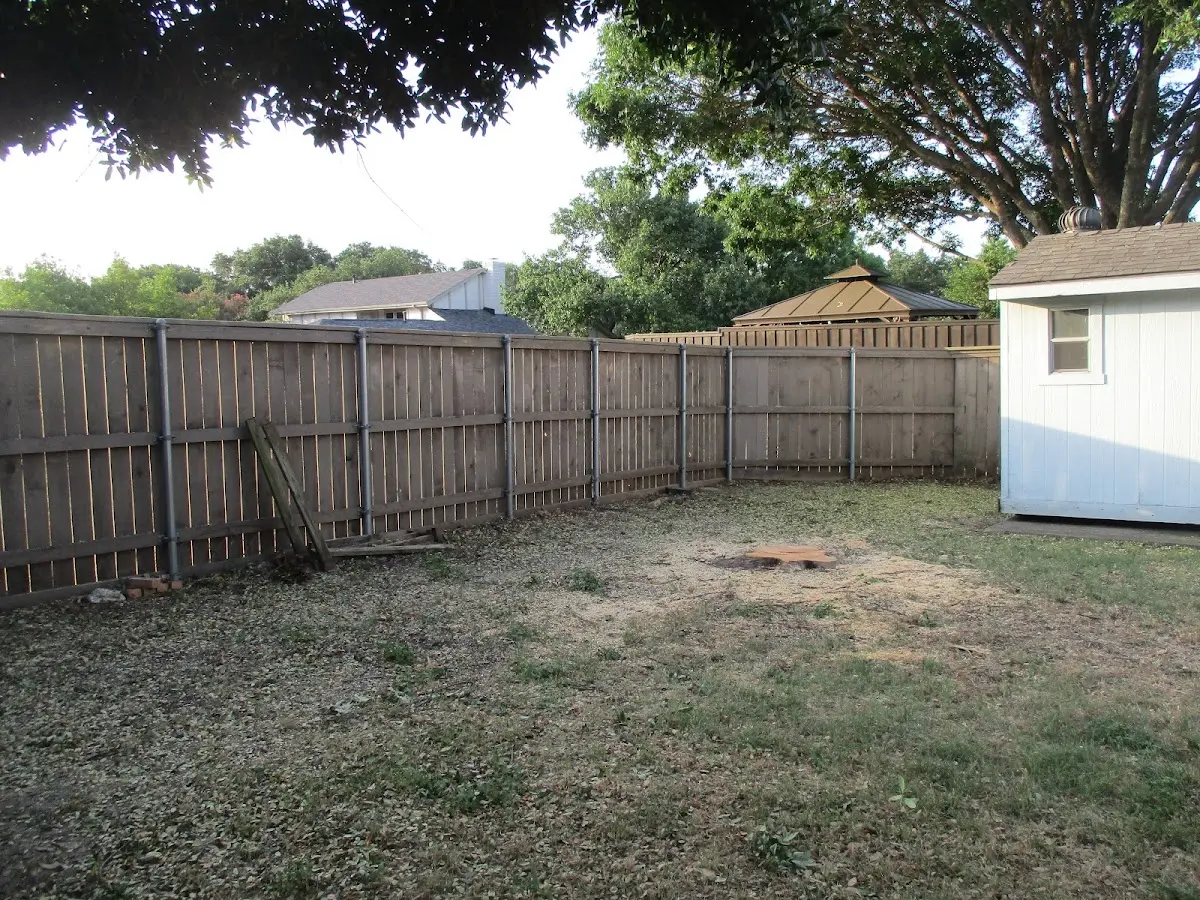 Cleared yard after professional tree removal in Glastonbury