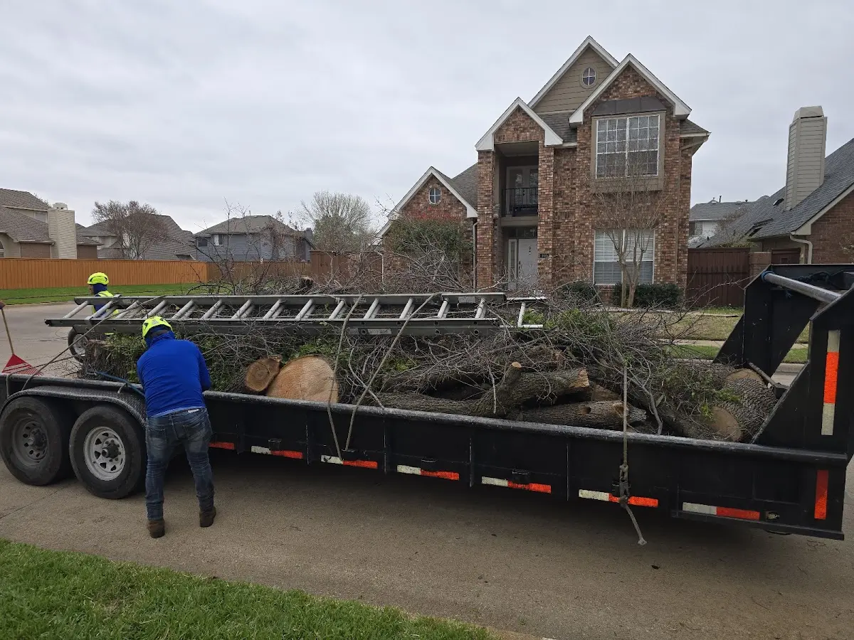 Expert Tree Fertilization with proper safety equipment in Glastonbury